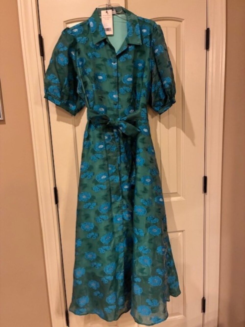 Abbey Glass Floral Print Short Sleeve V-Neck Fit and Flare Dress
